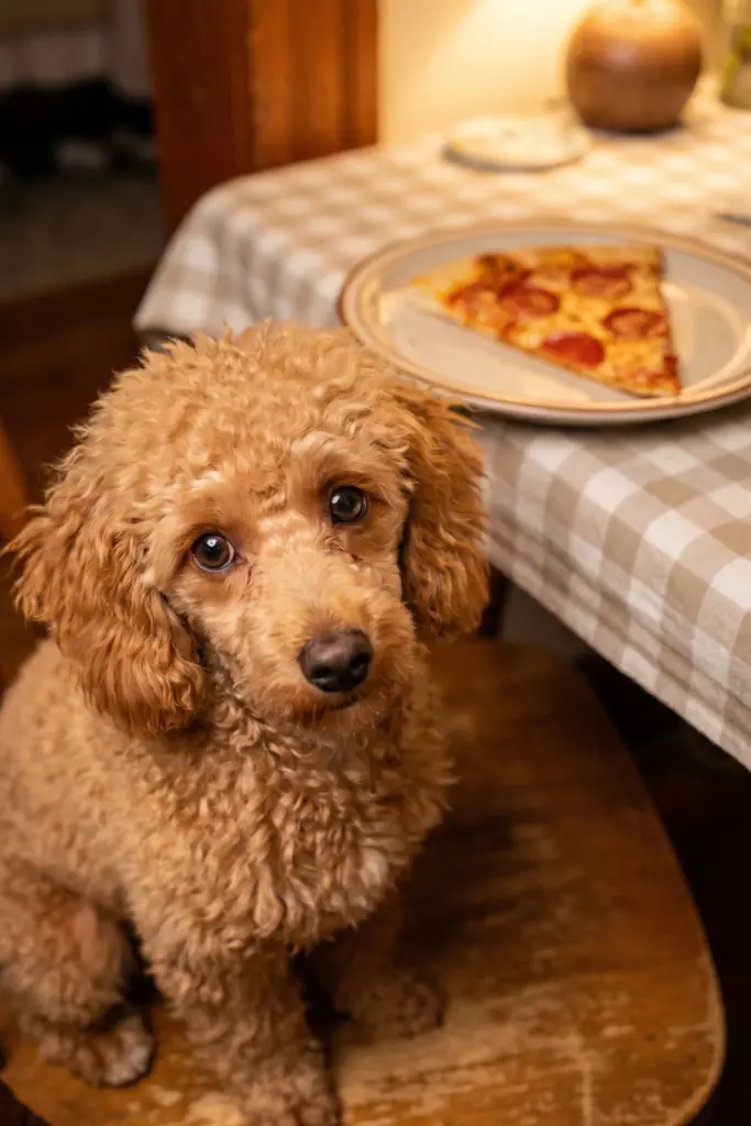 Puppy -Dog- Eyes -You -Cannot- Resist